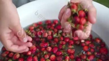 孩子们用手在碗里洗小草莓。 特写镜头。 手里拿着浆果